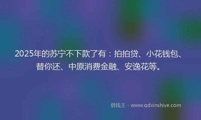 2025年的苏宁不下款了有：拍拍贷、小花钱包、替你还、中原消费金融、安逸花等。