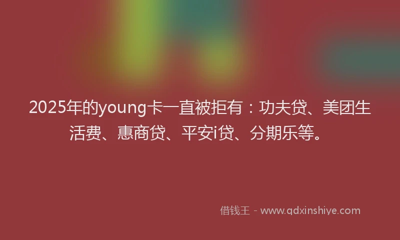 2025年的young卡一直被拒有：功夫贷、美团生活费、惠商贷、平安i贷、分期乐等。