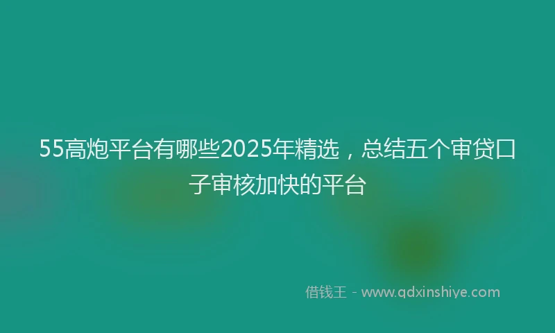 55高炮平台有哪些2025年精选，总结五个审贷口子审核加快的平台