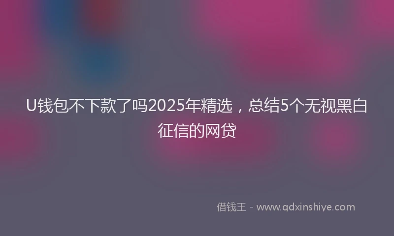 U钱包不下款了吗2025年精选，总结5个无视黑白征信的网贷