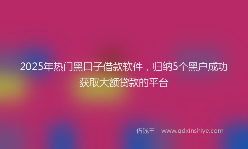 2025年热门黑口子借款软件，归纳5个黑户成功获取大额贷款的平台