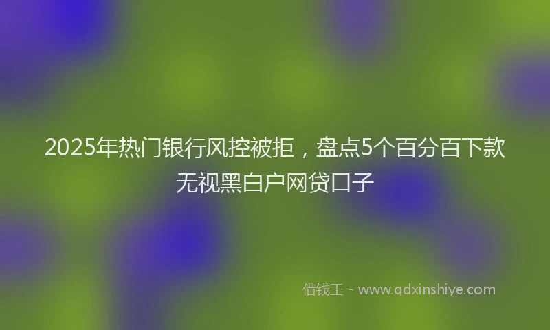 2025年热门银行风控被拒，盘点5个百分百下款无视黑白户网贷口子