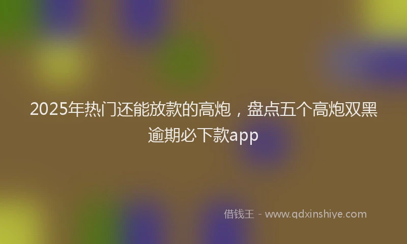 2025年热门还能放款的高炮，盘点五个高炮双黑逾期必下款app