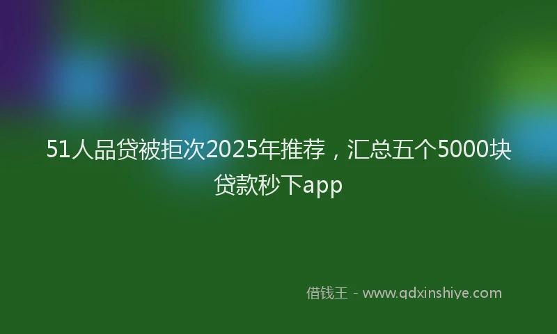 51人品贷被拒次2025年推荐，汇总五个5000块贷款秒下app