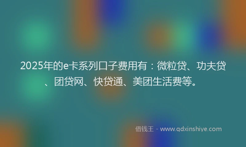 2025年的e卡系列口子费用有：微粒贷、功夫贷、团贷网、快贷通、美团生活费等。