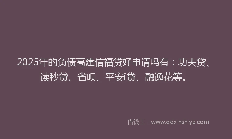 2025年的负债高建信福贷好申请吗有：功夫贷、读秒贷、省呗、平安i贷、融逸花等。