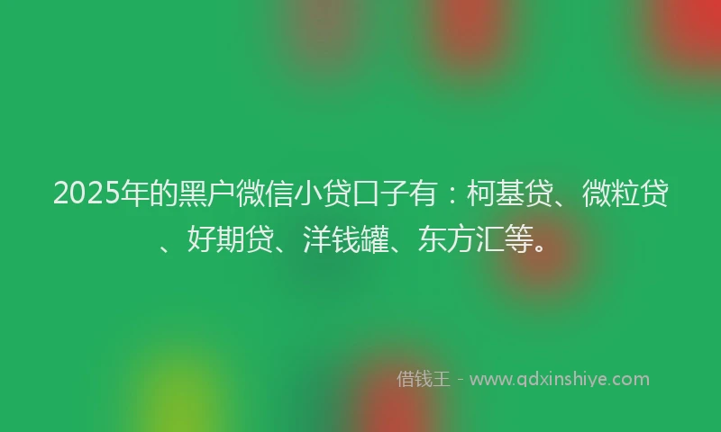 2025年的黑户微信小贷口子有：柯基贷、微粒贷、好期贷、洋钱罐、东方汇等。