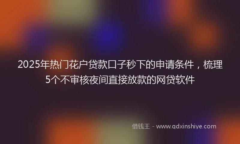 2025年热门花户贷款口子秒下的申请条件，梳理5个不审核夜间直接放款的网贷软件