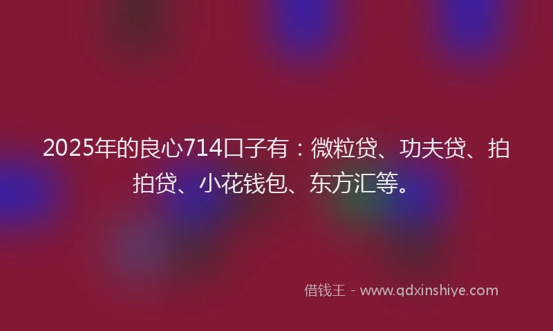 2025年的良心714口子有：微粒贷、功夫贷、拍拍贷、小花钱包、东方汇等。