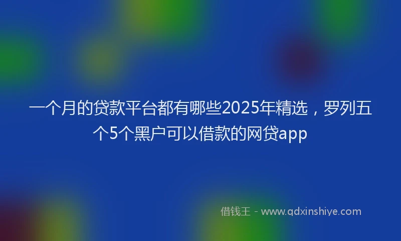 一个月的贷款平台都有哪些2025年精选，罗列五个5个黑户可以借款的网贷app