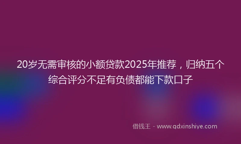 20岁无需审核的小额贷款2025年推荐，归纳五个综合评分不足有负债都能下款口子