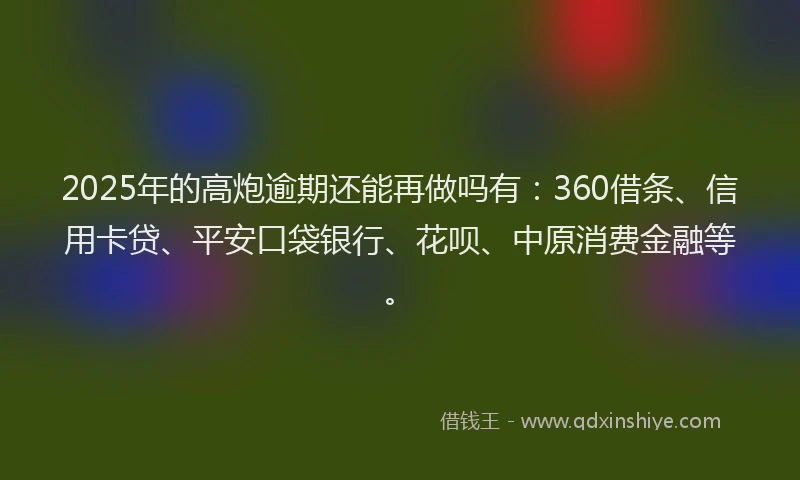 2025年的高炮逾期还能再做吗有：360借条、信用卡贷、平安口袋银行、花呗、中原消费金融等。