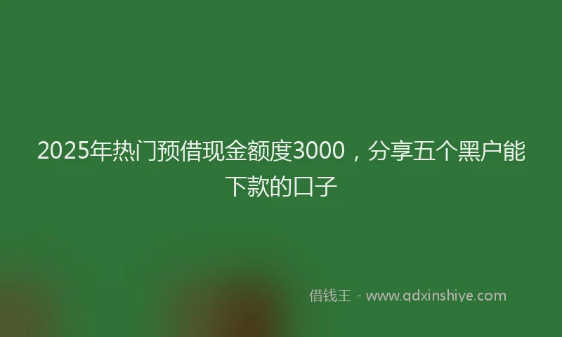 2025年热门预借现金额度3000，分享五个黑户能下款的口子