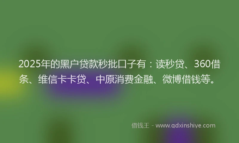 2025年的黑户贷款秒批口子有：读秒贷、360借条、维信卡卡贷、中原消费金融、微博借钱等。