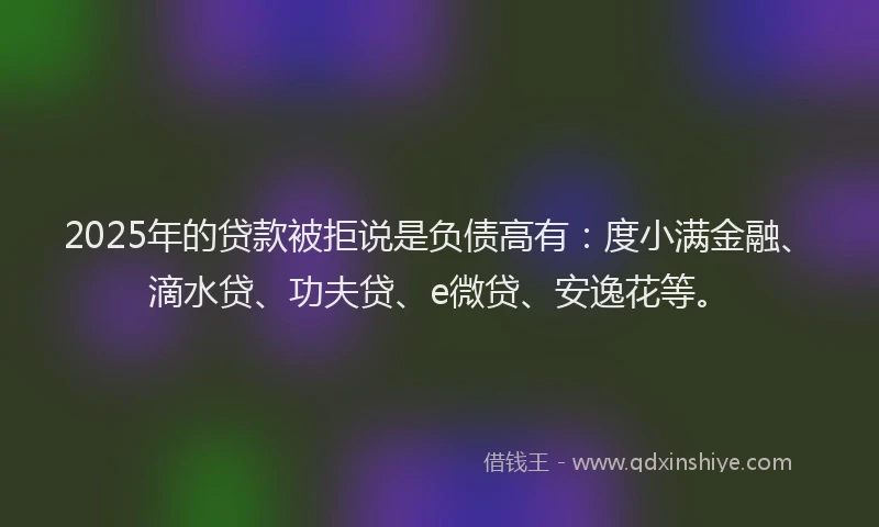 2025年的贷款被拒说是负债高有：度小满金融、滴水贷、功夫贷、e微贷、安逸花等。
