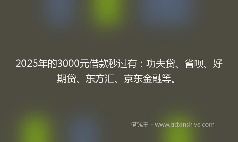 2025年的3000元借款秒过有：功夫贷、省呗、好期贷、东方汇、京东金融等。
