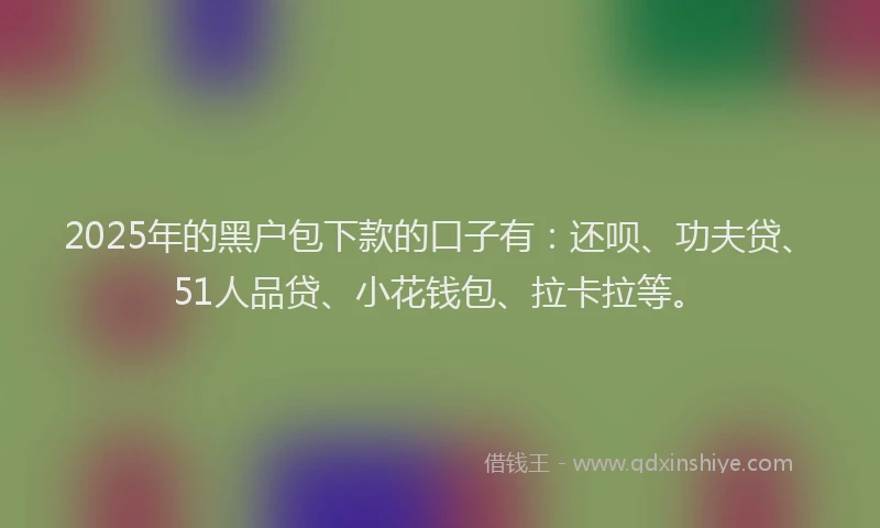 2025年的黑户包下款的口子有：还呗、功夫贷、51人品贷、小花钱包、拉卡拉等。