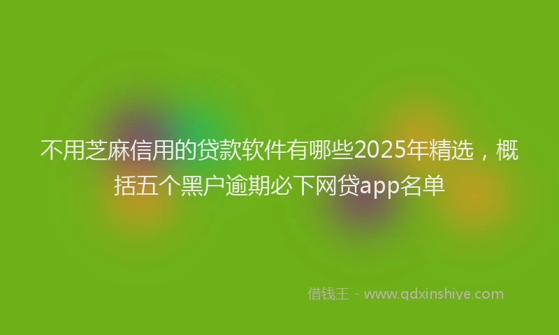 不用芝麻信用的贷款软件有哪些2025年精选，概括五个黑户逾期必下网贷app名单