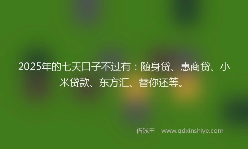 2025年的七天口子不过有：随身贷、惠商贷、小米贷款、东方汇、替你还等。