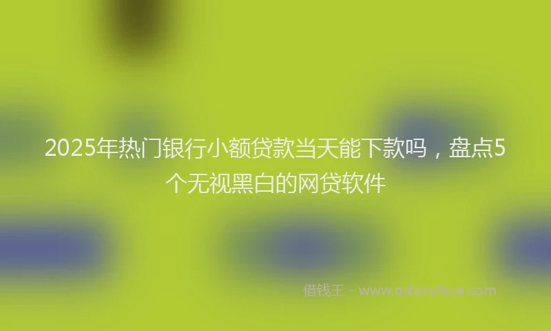2025年热门银行小额贷款当天能下款吗，盘点5个无视黑白的网贷软件