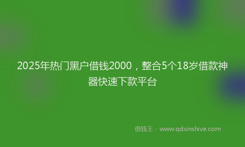 2025年热门黑户借钱2000，整合5个18岁借款神器快速下款平台