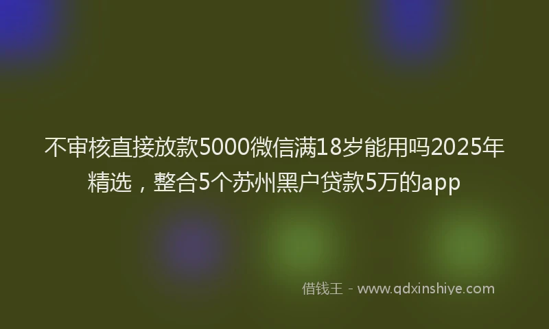 不审核直接放款5000微信满18岁能用吗2025年精选，整合5个苏州黑户贷款5万的app