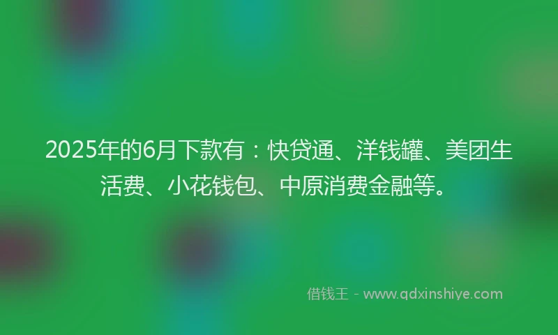 2025年的6月下款有：快贷通、洋钱罐、美团生活费、小花钱包、中原消费金融等。