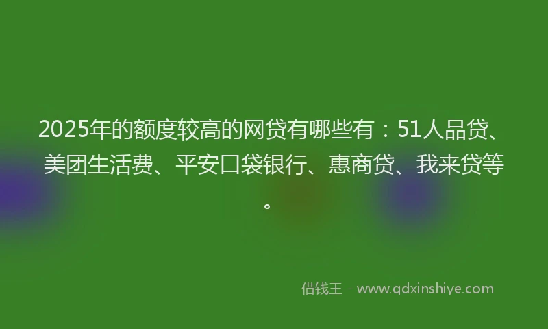 2025年的额度较高的网贷有哪些有：51人品贷、美团生活费、平安口袋银行、惠商贷、我来贷等。