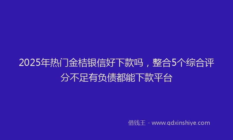 2025年热门金桔银信好下款吗，整合5个综合评分不足有负债都能下款平台