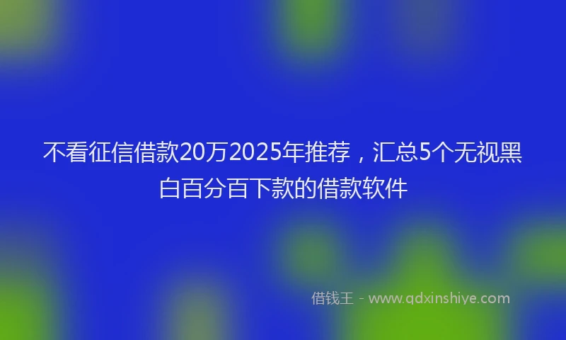 不看征信借款20万2025年推荐，汇总5个无视黑白百分百下款的借款软件