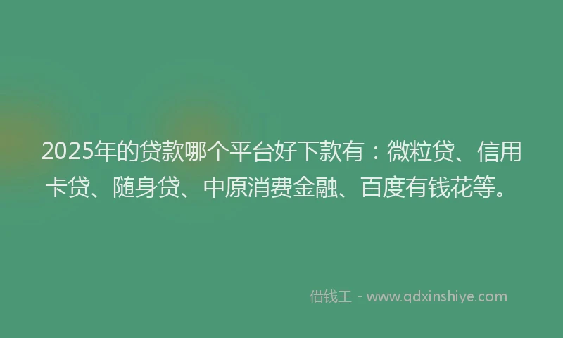 2025年的贷款哪个平台好下款有：微粒贷、信用卡贷、随身贷、中原消费金融、百度有钱花等。