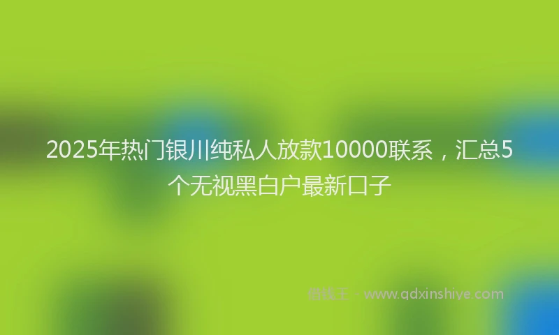 2025年热门银川纯私人放款10000联系，汇总5个无视黑白户最新口子