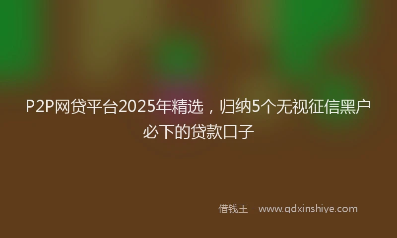 P2P网贷平台2025年精选，归纳5个无视征信黑户必下的贷款口子