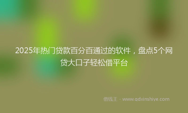 2025年热门贷款百分百通过的软件，盘点5个网贷大口子轻松借平台