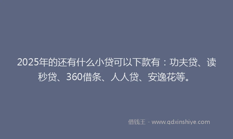 2025年的还有什么小贷可以下款有：功夫贷、读秒贷、360借条、人人贷、安逸花等。