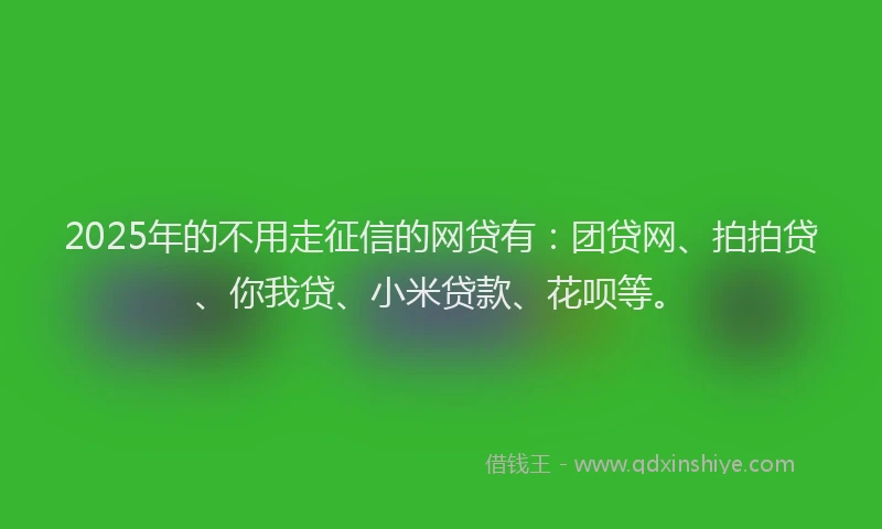 2025年的不用走征信的网贷有：团贷网、拍拍贷、你我贷、小米贷款、花呗等。