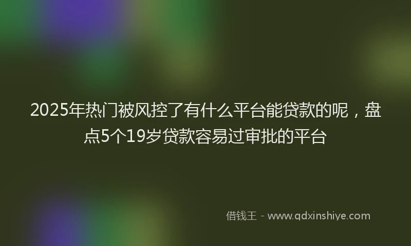 2025年热门被风控了有什么平台能贷款的呢，盘点5个19岁贷款容易过审批的平台