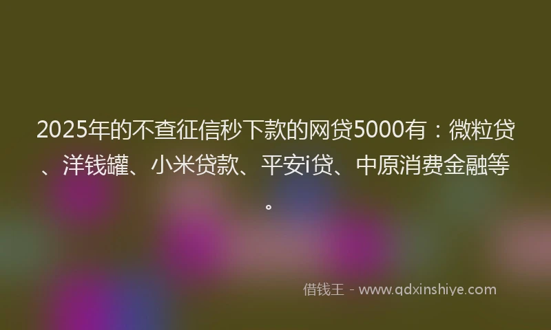 2025年的不查征信秒下款的网贷5000有：微粒贷、洋钱罐、小米贷款、平安i贷、中原消费金融等。