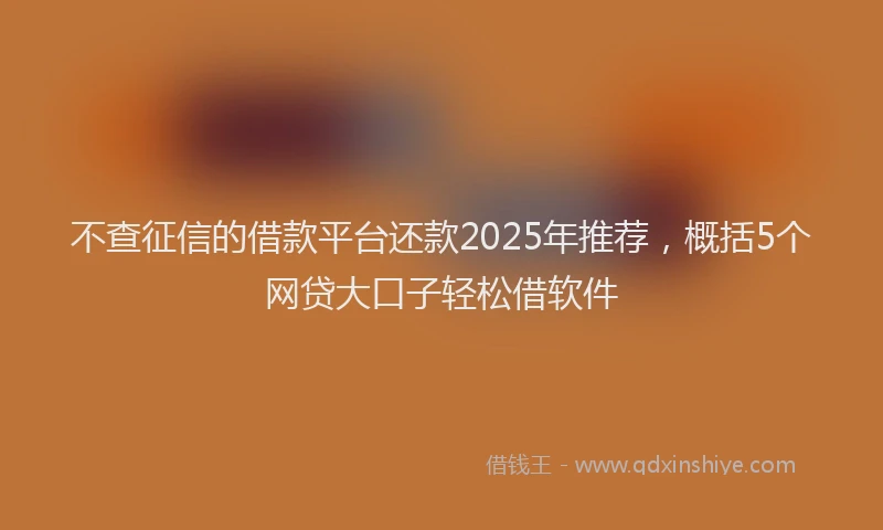 不查征信的借款平台还款2025年推荐，概括5个网贷大口子轻松借软件