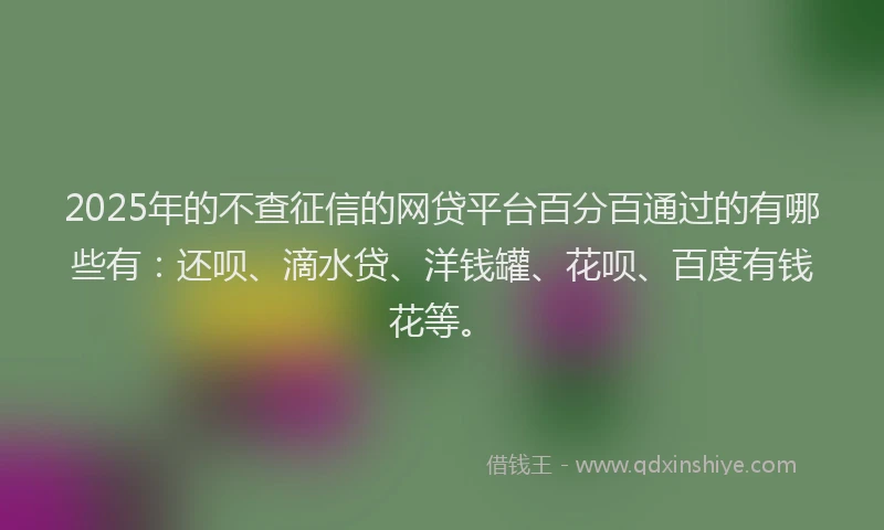 2025年的不查征信的网贷平台百分百通过的有哪些有：还呗、滴水贷、洋钱罐、花呗、百度有钱花等。