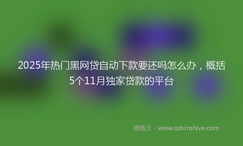 2025年热门黑网贷自动下款要还吗怎么办，概括5个11月独家贷款的平台