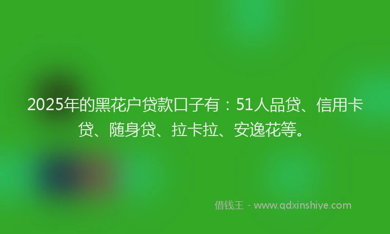 2025年的黑花户贷款口子有：51人品贷、信用卡贷、随身贷、拉卡拉、安逸花等。