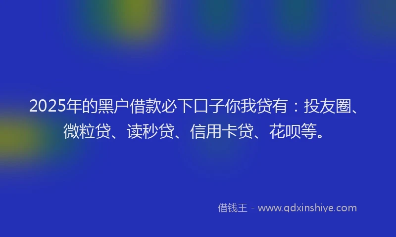 2025年的黑户借款必下口子你我贷有：投友圈、微粒贷、读秒贷、信用卡贷、花呗等。