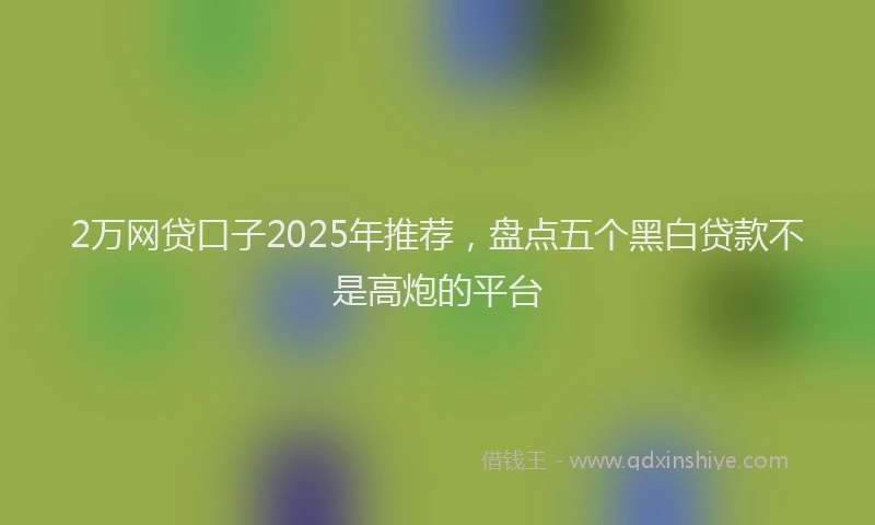 2万网贷口子2025年推荐，盘点五个黑白贷款不是高炮的平台
