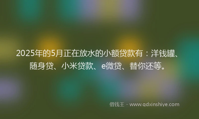 2025年的5月正在放水的小额贷款有：洋钱罐、随身贷、小米贷款、e微贷、替你还等。
