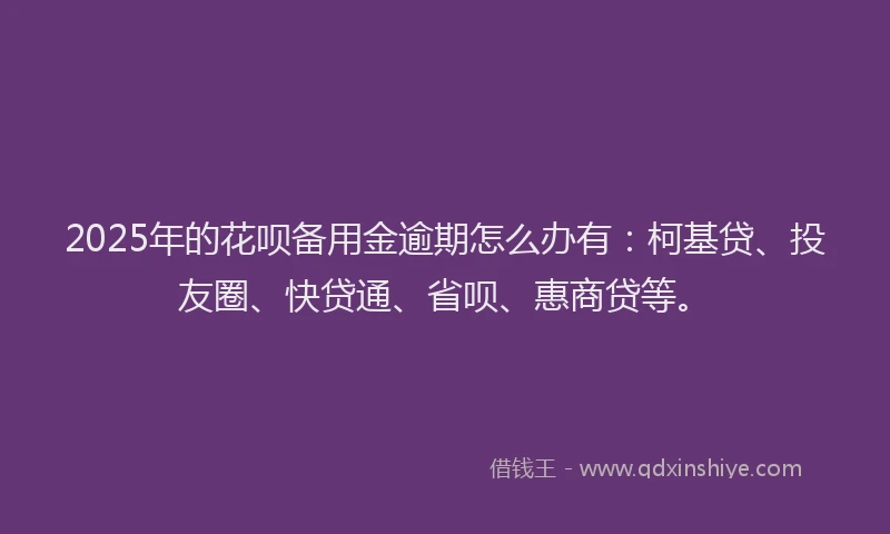 2025年的花呗备用金逾期怎么办有：柯基贷、投友圈、快贷通、省呗、惠商贷等。