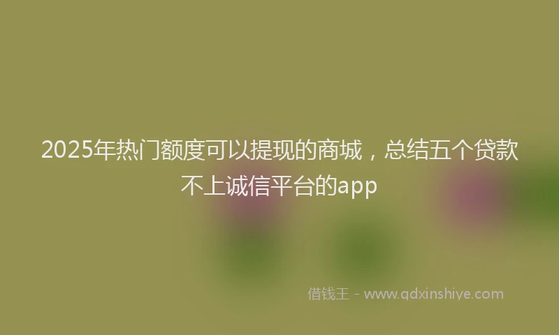 2025年热门额度可以提现的商城，总结五个贷款不上诚信平台的app