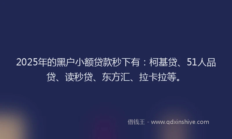 2025年的黑户小额贷款秒下有：柯基贷、51人品贷、读秒贷、东方汇、拉卡拉等。