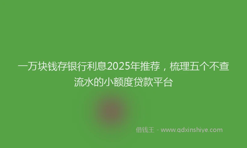 一万块钱存银行利息2025年推荐，梳理五个不查流水的小额度贷款平台