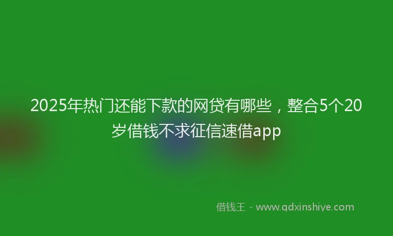 2025年热门还能下款的网贷有哪些，整合5个20岁借钱不求征信速借app